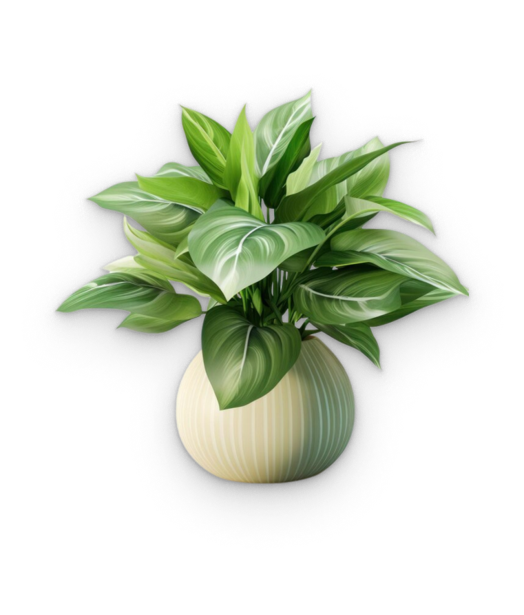 plant