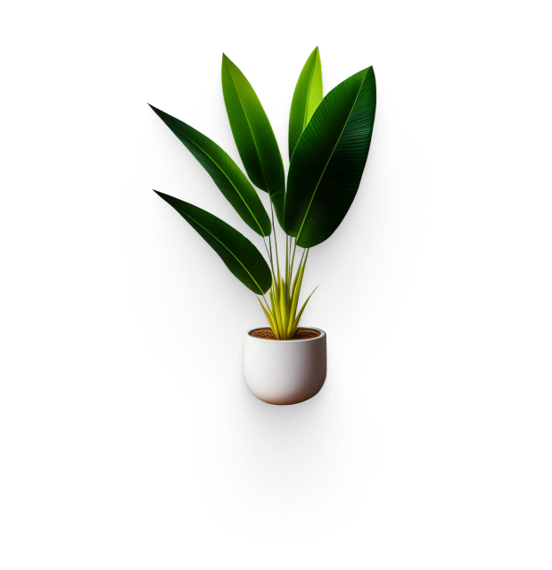 plant