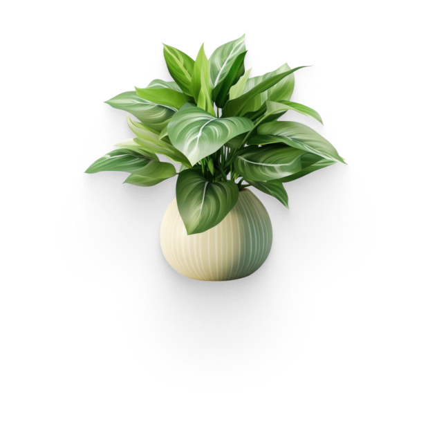 plant